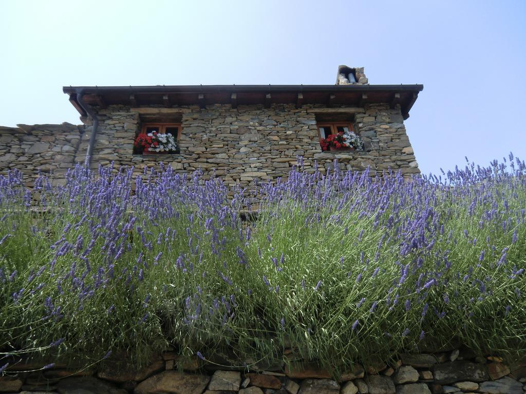 Agriturismo La Fontana Dell'Olmo Hotel Molini di Triora Exterior foto